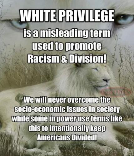 103074666_2807621326173488_1679204007477814198_n