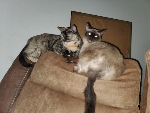 20:26:38 GMT-0500 (CDT)