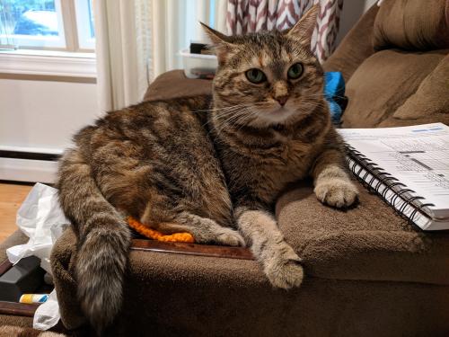 19:53:25 GMT-0400 (EDT)