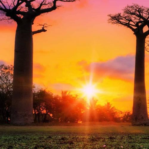 15:02:07 GMT+0100 (BST)