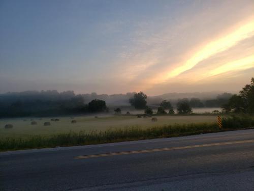 03:02:50 GMT-0400 (EDT)