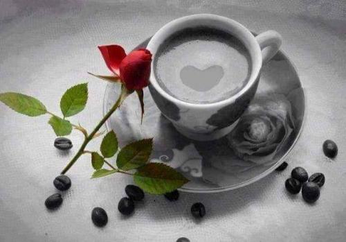 12189127_10200978600063151_2177557037224719727_n_10200978600063151