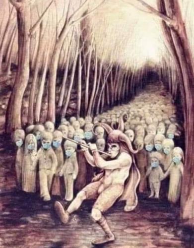 FB_IMG_1593577739427