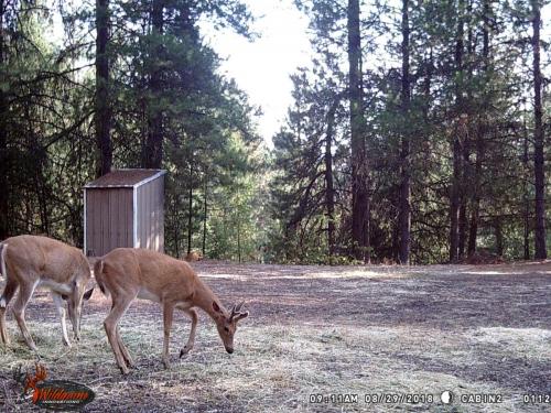 41521106_10217220229516393_8805844839942848512_o_10217220229476392