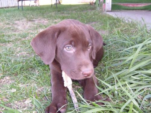 1909669_1196612794062_6574994_n_1196612794062