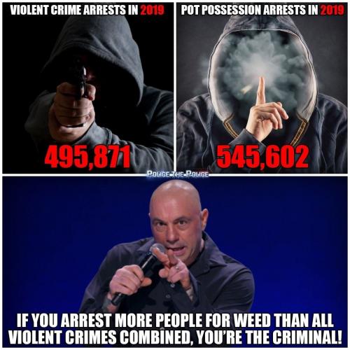 121682353_381906286472428_7916880968115784012_o