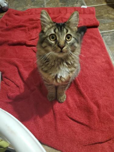 00:27:15 GMT-0400 (EDT)