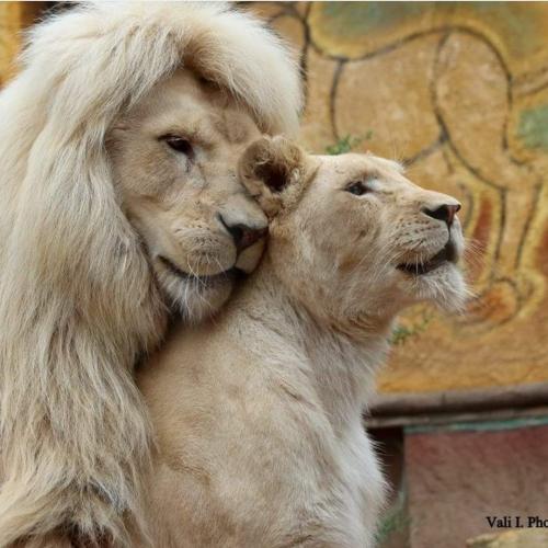 13:53:39 GMT-0500 (CDT)