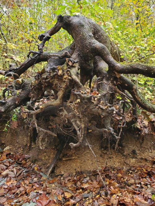 22:48:05 GMT-0500 (CDT)