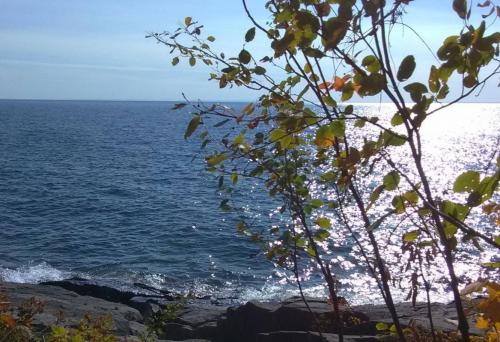 54fac388bb373c40520dfcfeade285d8