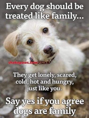 08:35:42 GMT-0500 (CDT)