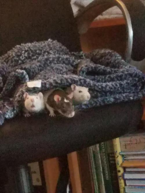 15:52:36 GMT-0500 (CDT)