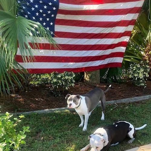 IMG_20200902_165128_834