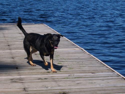 GarthSwimmingStPauls3Aug2011