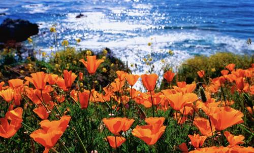 8938C0DF-9CA8-4B41-9C42-22DBDDEF9563