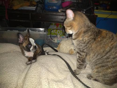 07:12:54 GMT-0500 (CDT)