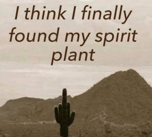 09:35:42 GMT-0500 (CDT)