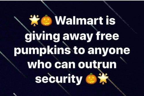 123218987_2101588759973335_5777373780130451037_n