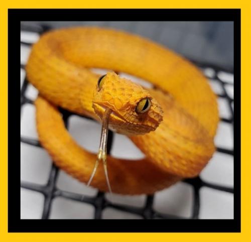 tumblr_5a451ea39bcbb2797339fcf5c38e65d3_4af8278d_540