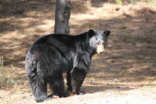 253268_10201080228066444_1033732064_n_10201080228066444