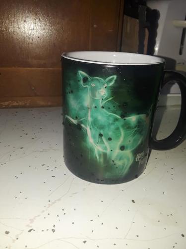 49640376_10205271369339700_7760737253667635200_n_10205271369299699