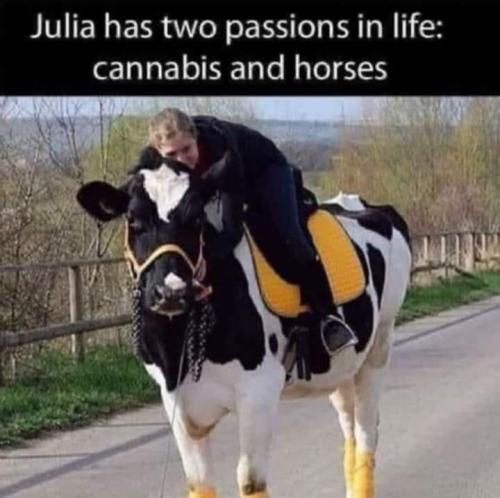 Passions