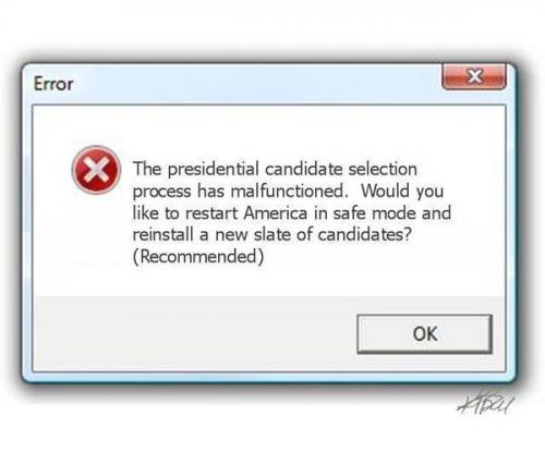 PresidentialSelectionProcessFailed