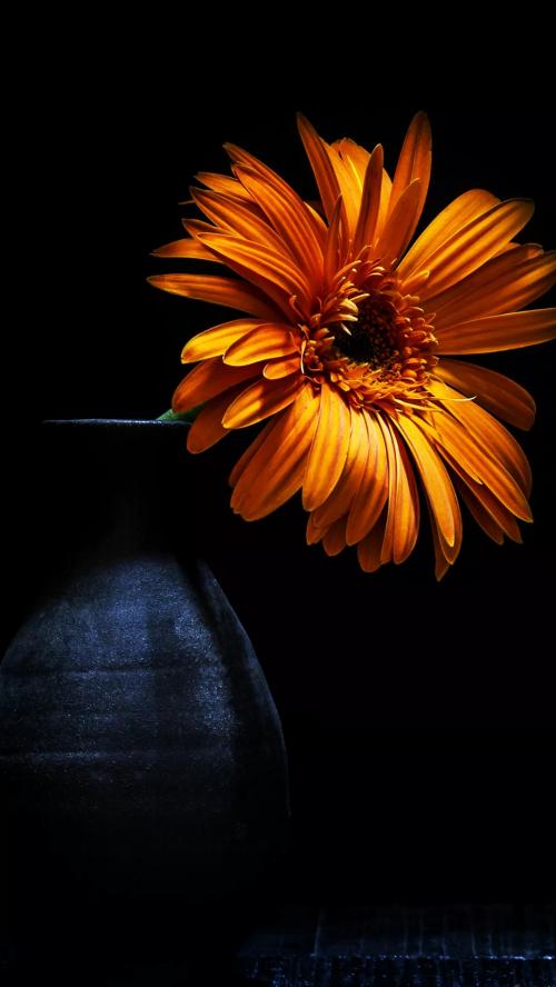 19:34:28 GMT+0100 (WAT)