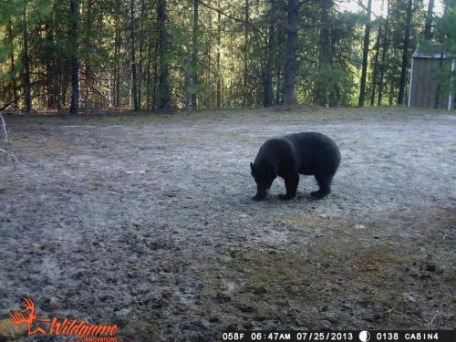 1157644_10201794158674263_1901413847_n_10201794158674263