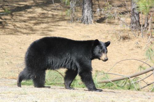 397862_10201080230266499_1175403891_n_10201080230266499