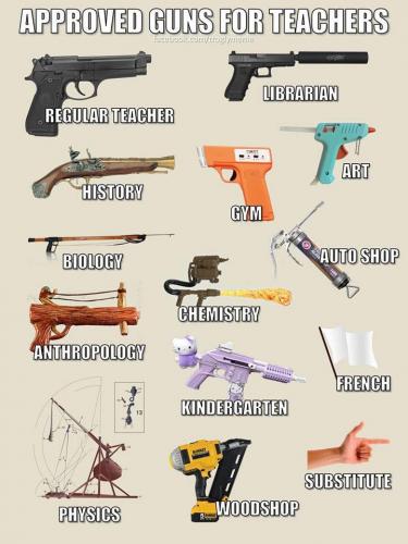 approved guns