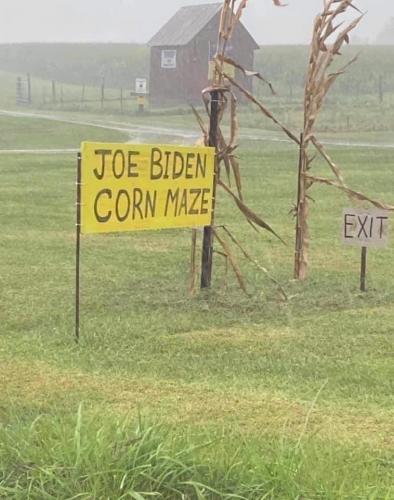 Biden corn mazy