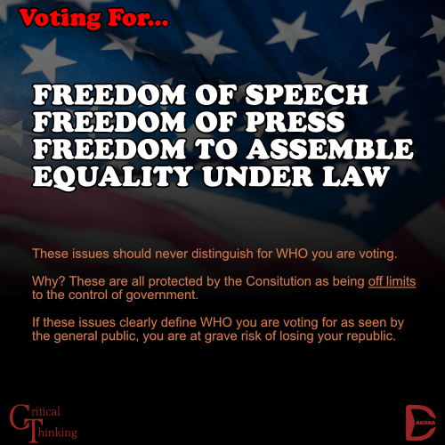 meme-voting-republic