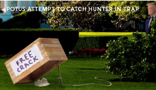 Hunter Trap