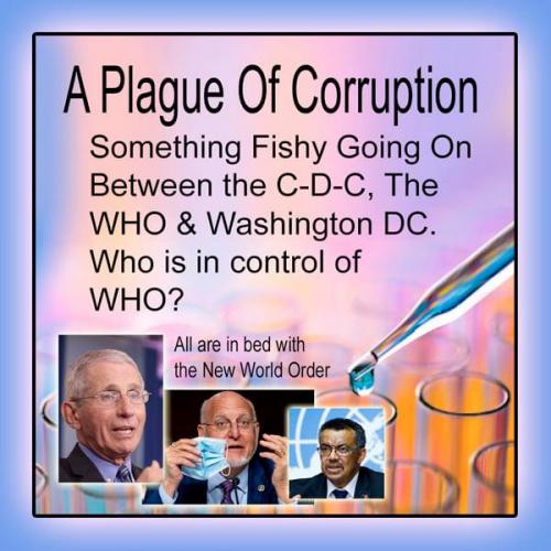 120033763_1697877463720855_7317847293062966529_n