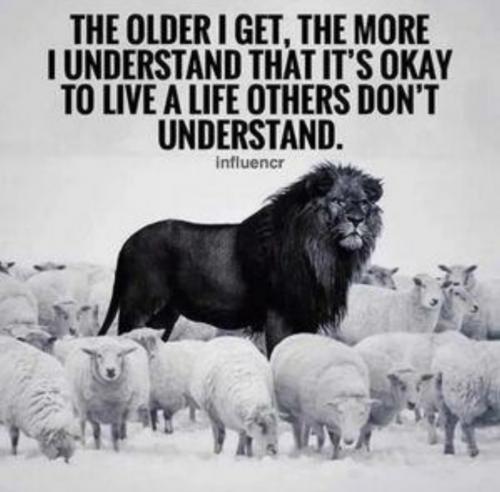 06:31:00 GMT-0500 (CDT)