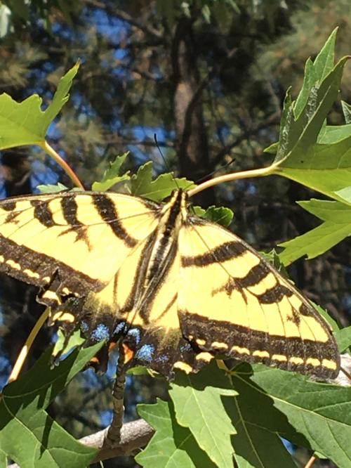 56EF8DE9-4E63-4C85-B8E5-629F02DC943C