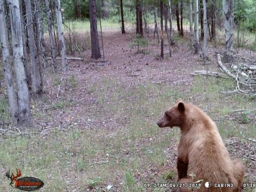 67406926_10219678055520507_7054005740935053312_o_10219678055440505