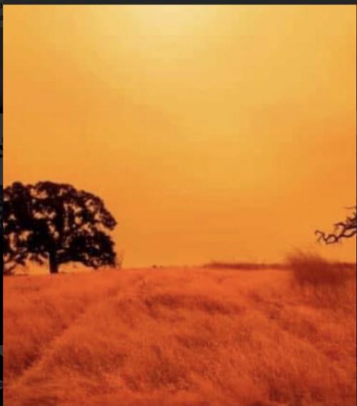 11CE474E-95B8-4129-A330-7FC3C1660354