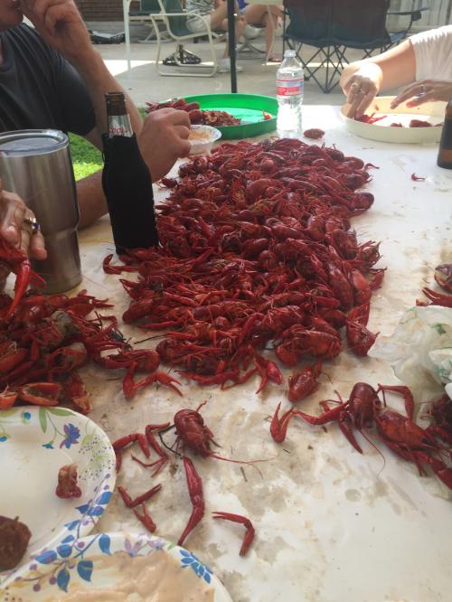 B162063C-19A1-4A8B-9F6D-5FDFDF0CCA20