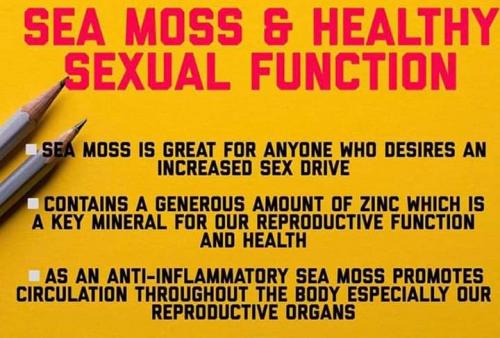 FB_IMG_1555680229007