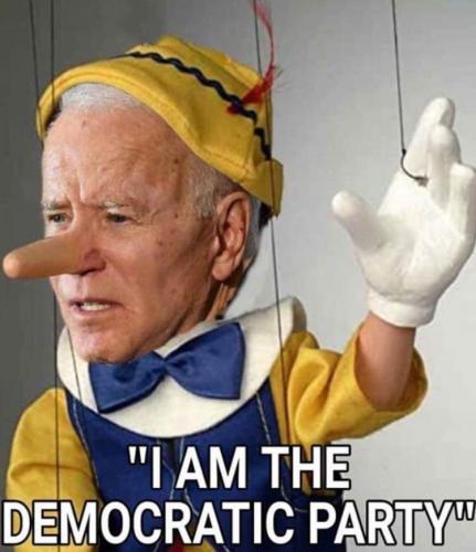 I am the Democratic Party