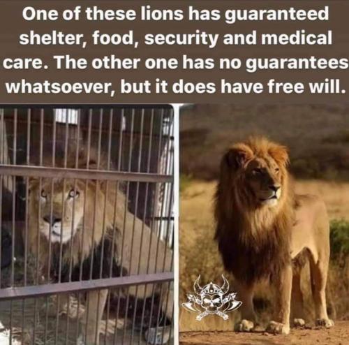 09:29:36 GMT-0300 (ADT)