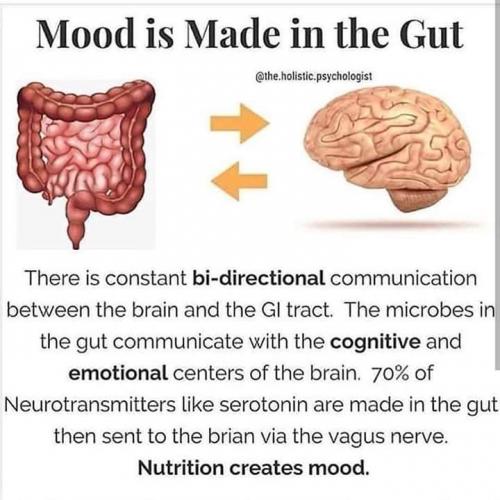 FB_IMG_1564530171291