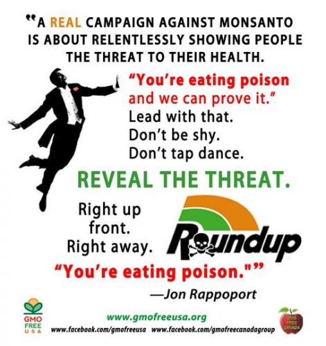 904223_678137818893351_2033730668_o