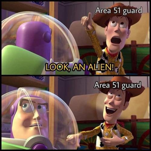 66796071_10205916076256970_765858480660676608_n_10205916076176968