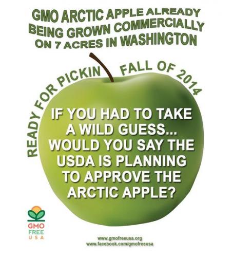 904223_678137818893351_2033730668_o