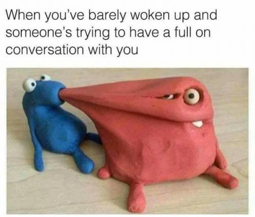 36874262_10204653332689170_5525966736202924032_n_10204653332649169