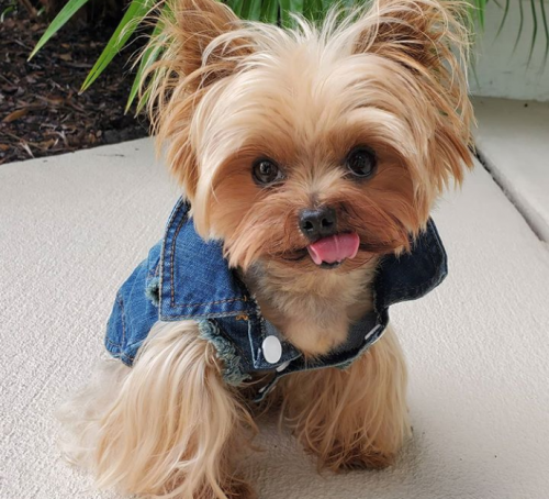 Screenshot_20201015-121918