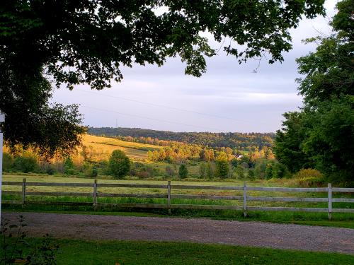 21:33:19 GMT-0400 (EDT)